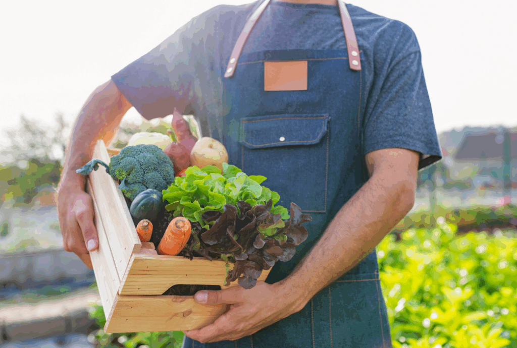 🌱 Le bio reprend des couleurs : quand la France se remet à croquer la vie… en vert !
